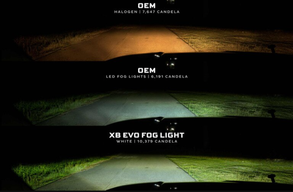 XB EVO + LED Fog Lights | Ram 1500 - LynXautoinnovate™️
