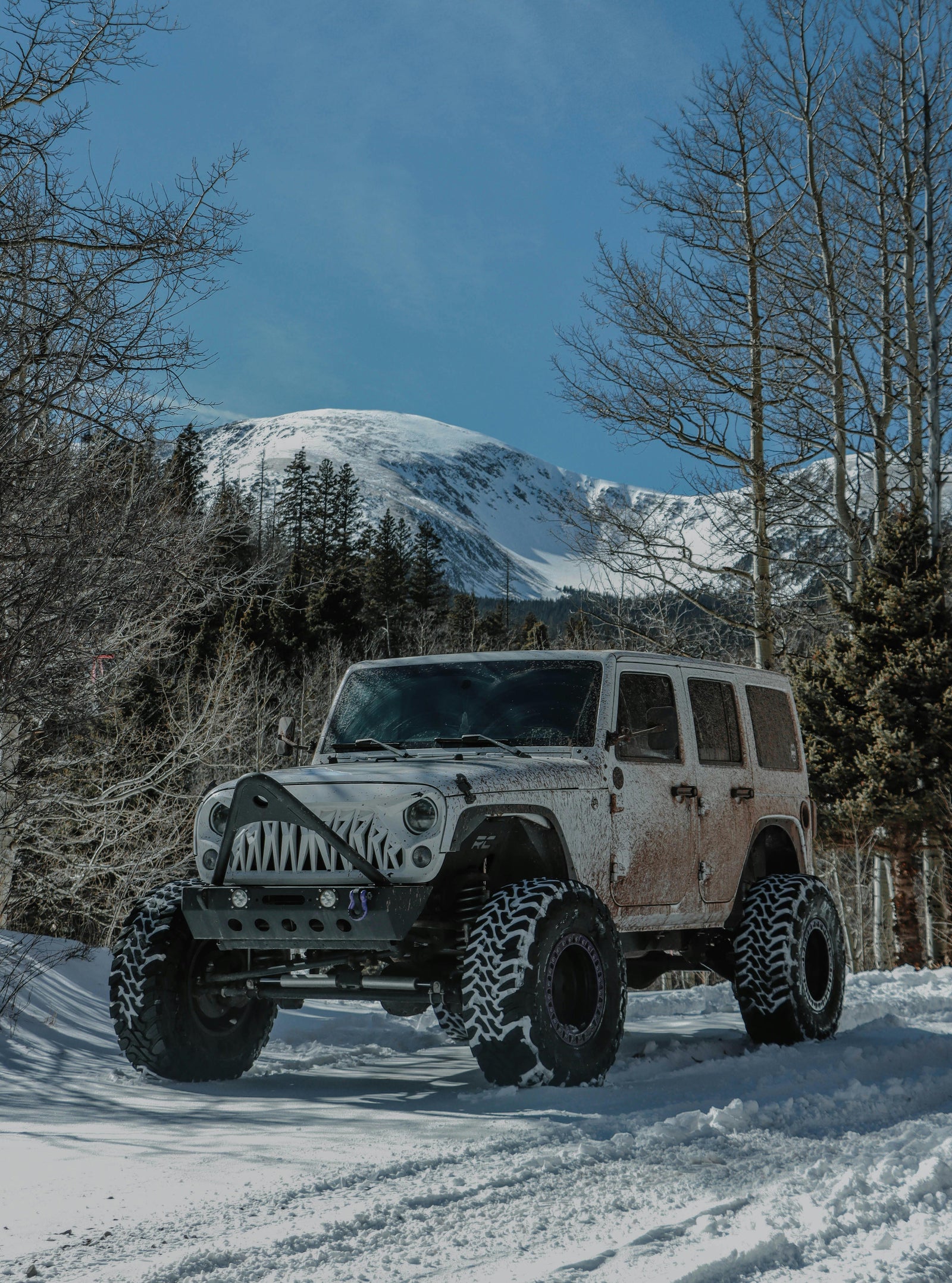 Fall-Ready Rides: Essential Upgrades for Cold Weather Driving