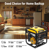 4850W Portable Generator