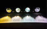Elite XB HID Bulb Set | Silverado