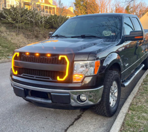 Raptor Style Mesh Grill | Ford F-150 - from LynXautoinnovate  - Just $229.99! 