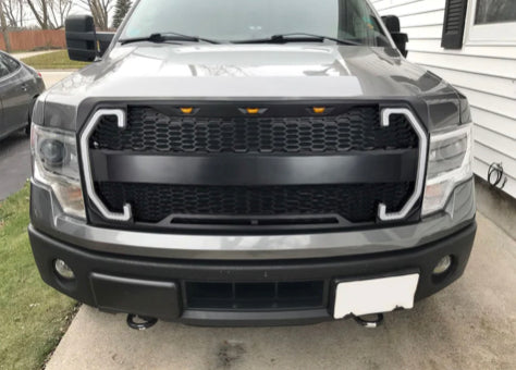 Raptor Style Mesh Grill | Ford F-150 - from LynXautoinnovate  - Just $229.99! 